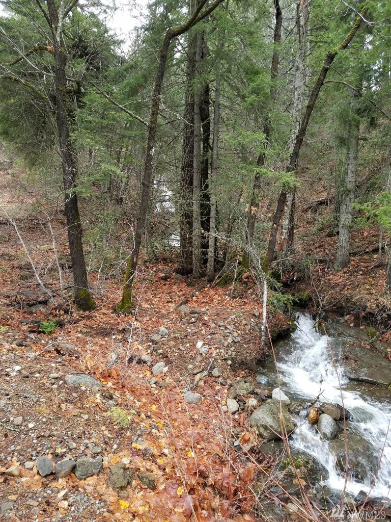 105 Anna Bell Drive WA 98940 Unit  Lake Cle Elum WA 98940