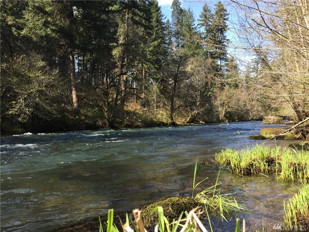 0 XXX Oak Ridge Rd Husum WA 98623