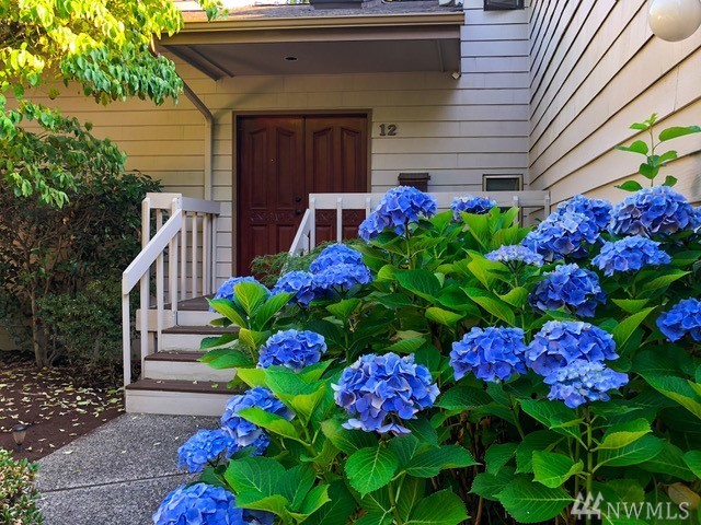 12 143rd Ave SE Unit 3 Unit 3 Bellevue WA 98007