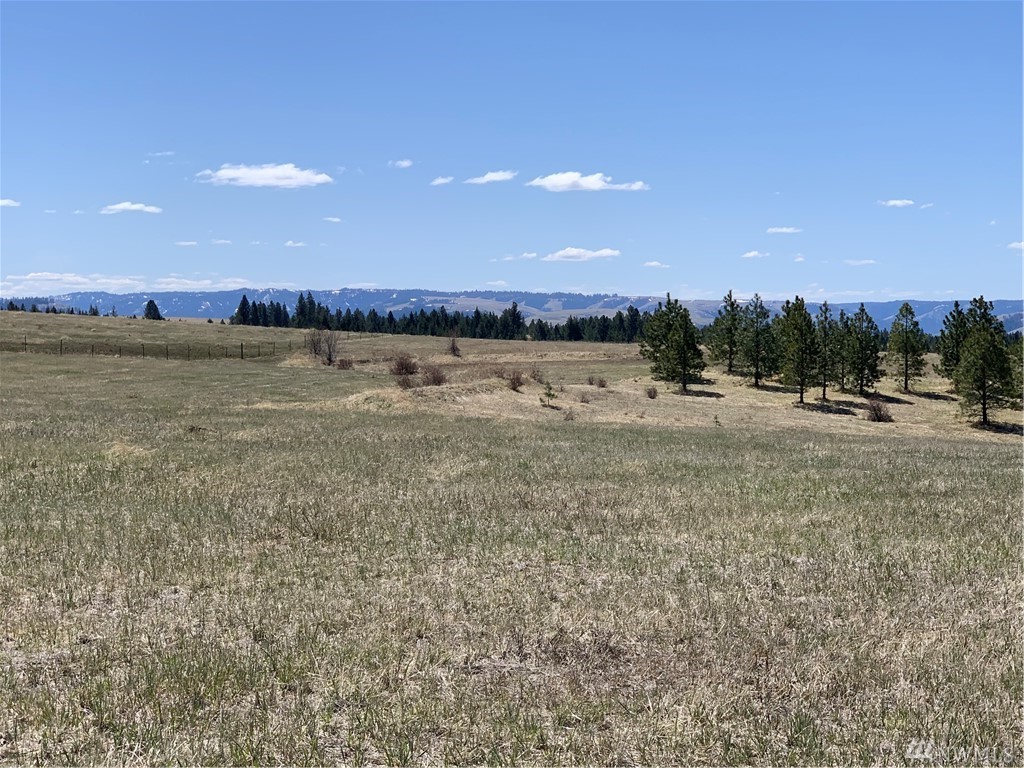 Wildhorse Rd Weston OR 97886