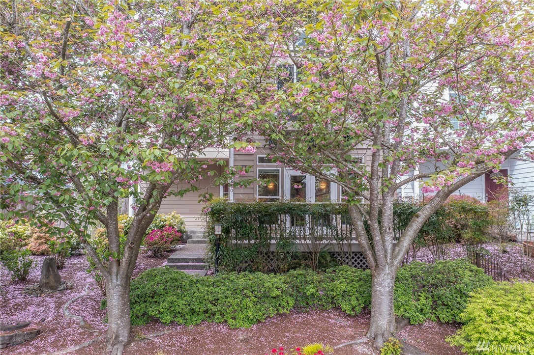 11830 SE 5th St Bellevue WA 98005