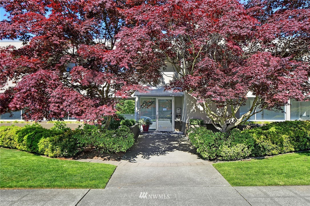 4457 44th Ave SW Unit 204 Unit 204 Seattle WA 98116