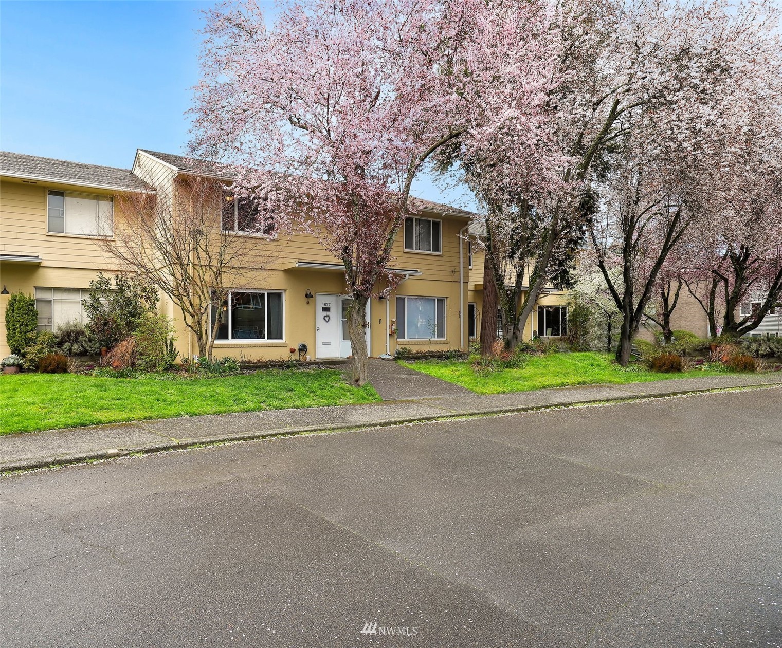 4877 Terrace Dr NE Seattle WA 98105