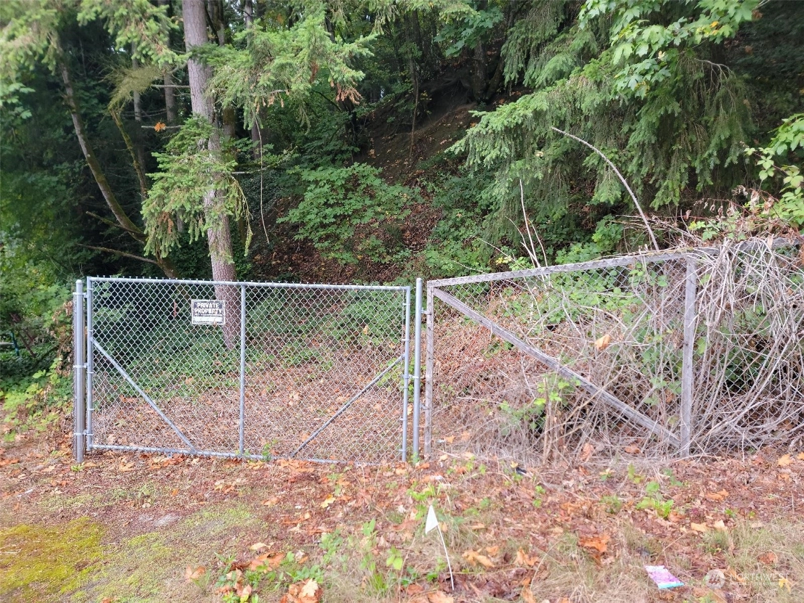 68 xx 226 Pl SW Unit  Mountlake Terrace WA 98043