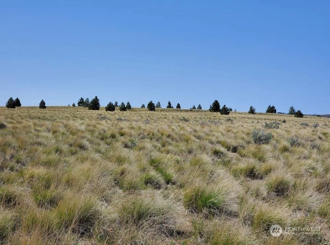 205 Middle Rd Bickleton WA 99322