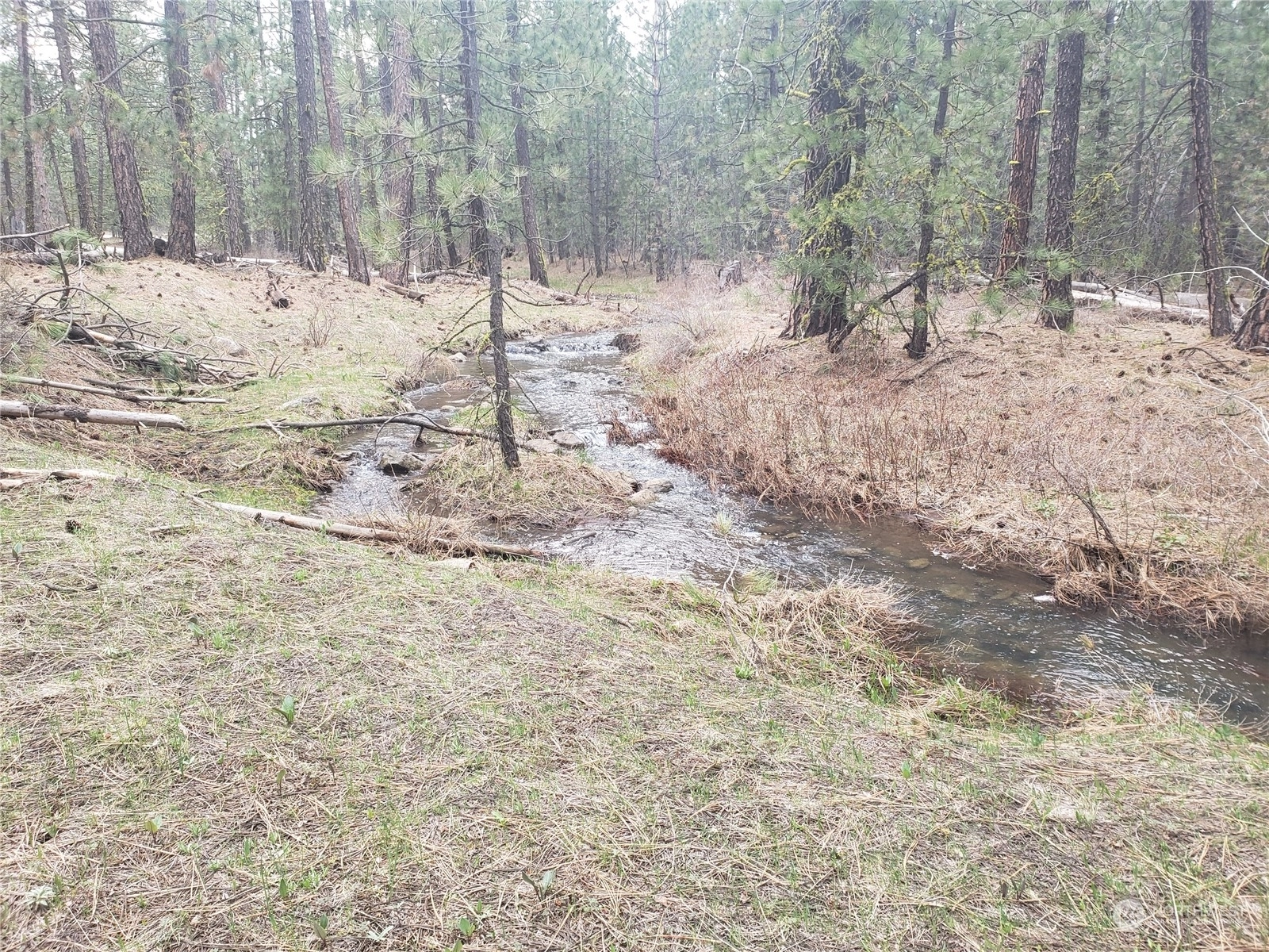 Pine Creek Rd Bickleton WA 98322