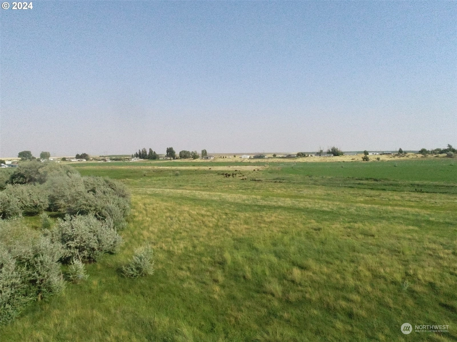 Highway 730 Irrigon OR 97844