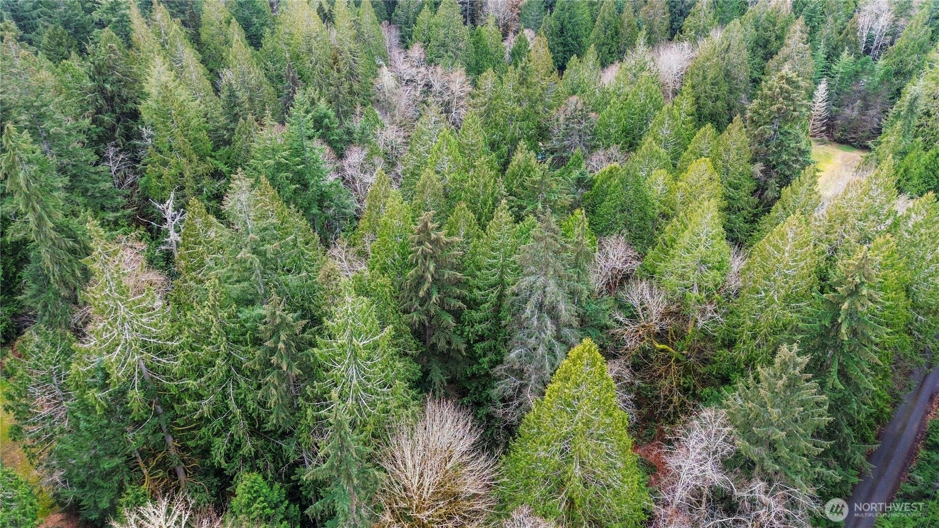 2902 136th St NW Gig Harbor WA 98332