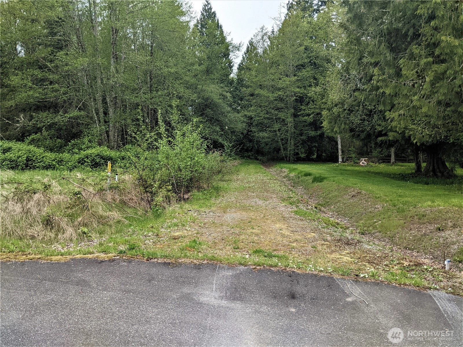 3 Lot Maple Tree Ln Unit  Concrete WA 98237
