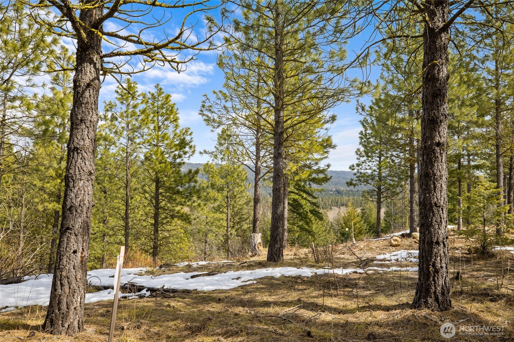 541 Gold Leaf Ln Unit  Cle Elum WA 98922