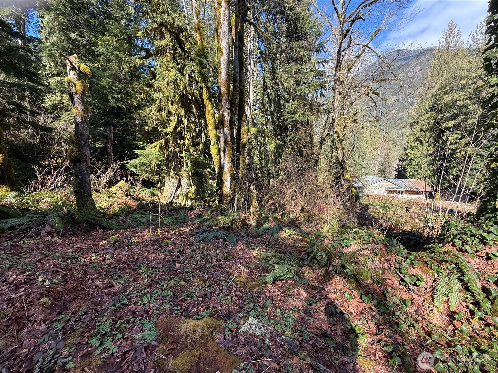 High Ridge Dr Unit  Marblemount WA 98267