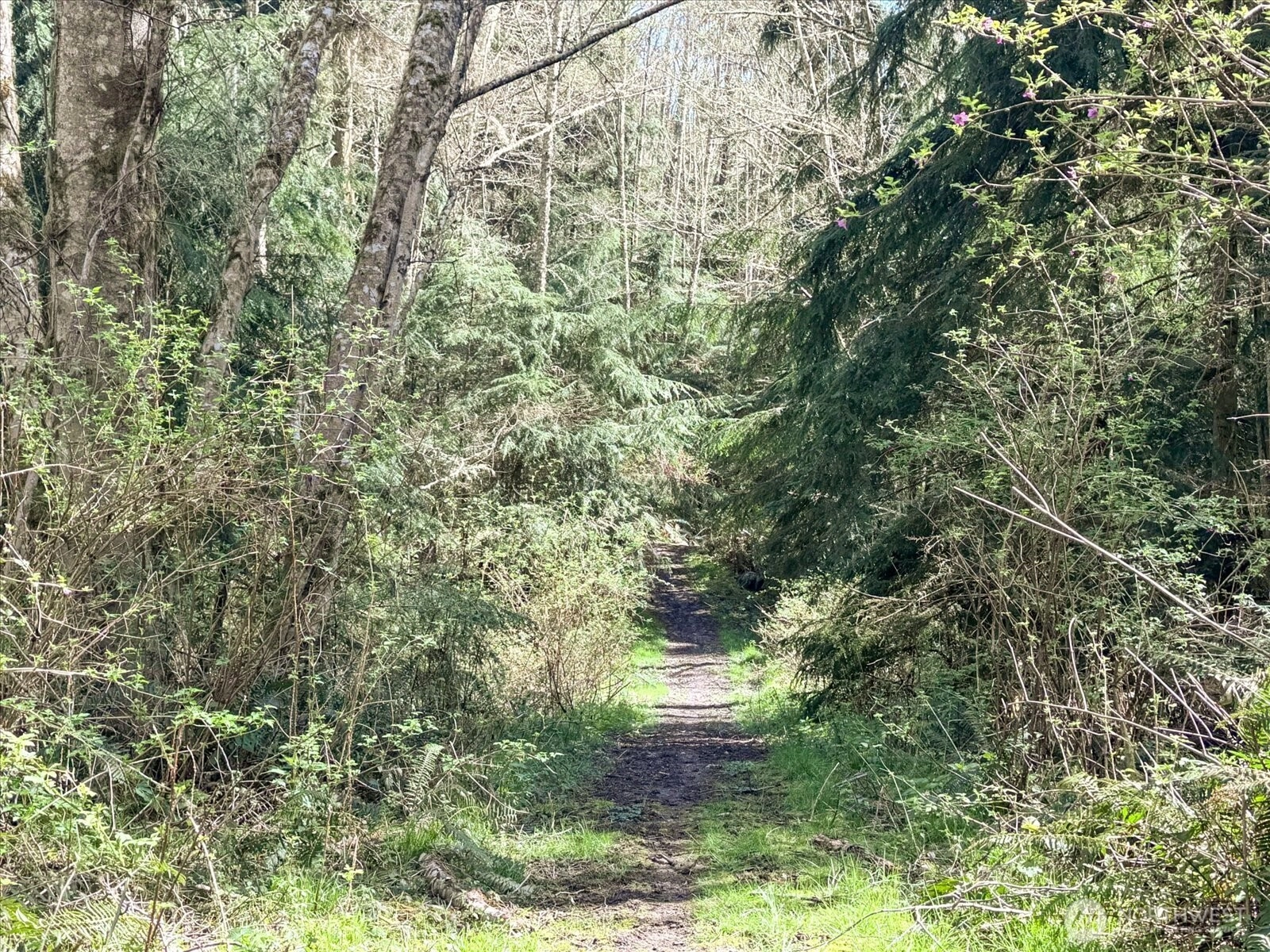 Forest View Ln Unit  Greenbank WA 98253
