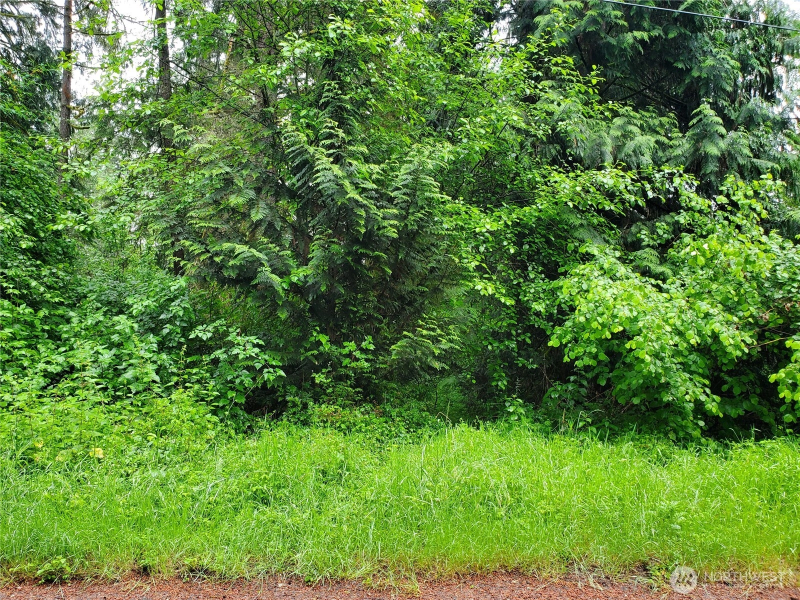10607 Edgewood Dr Unit 4&5 Unit 4&5 Anderson Island WA 98303