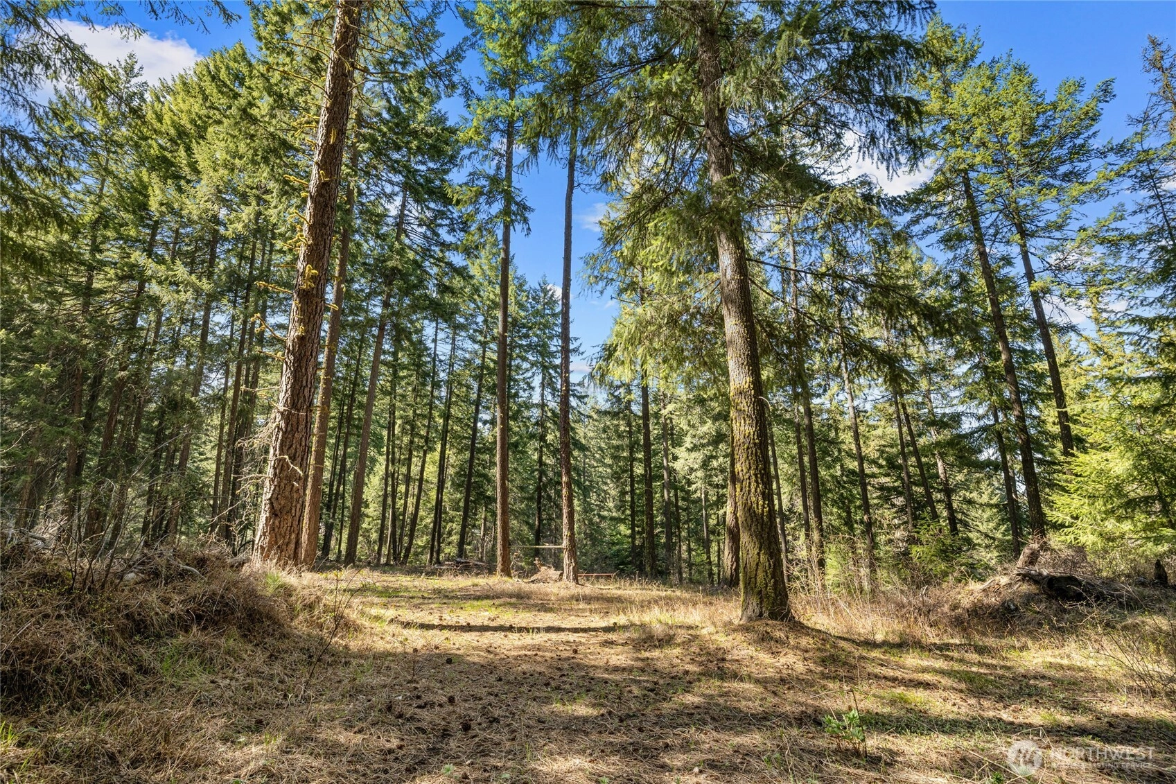 0 xxx Westside Rd Cle Elum WA 98922