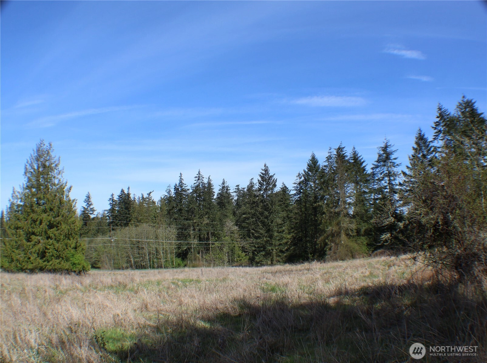 999 Oso Vista Ct Sequim WA 98382