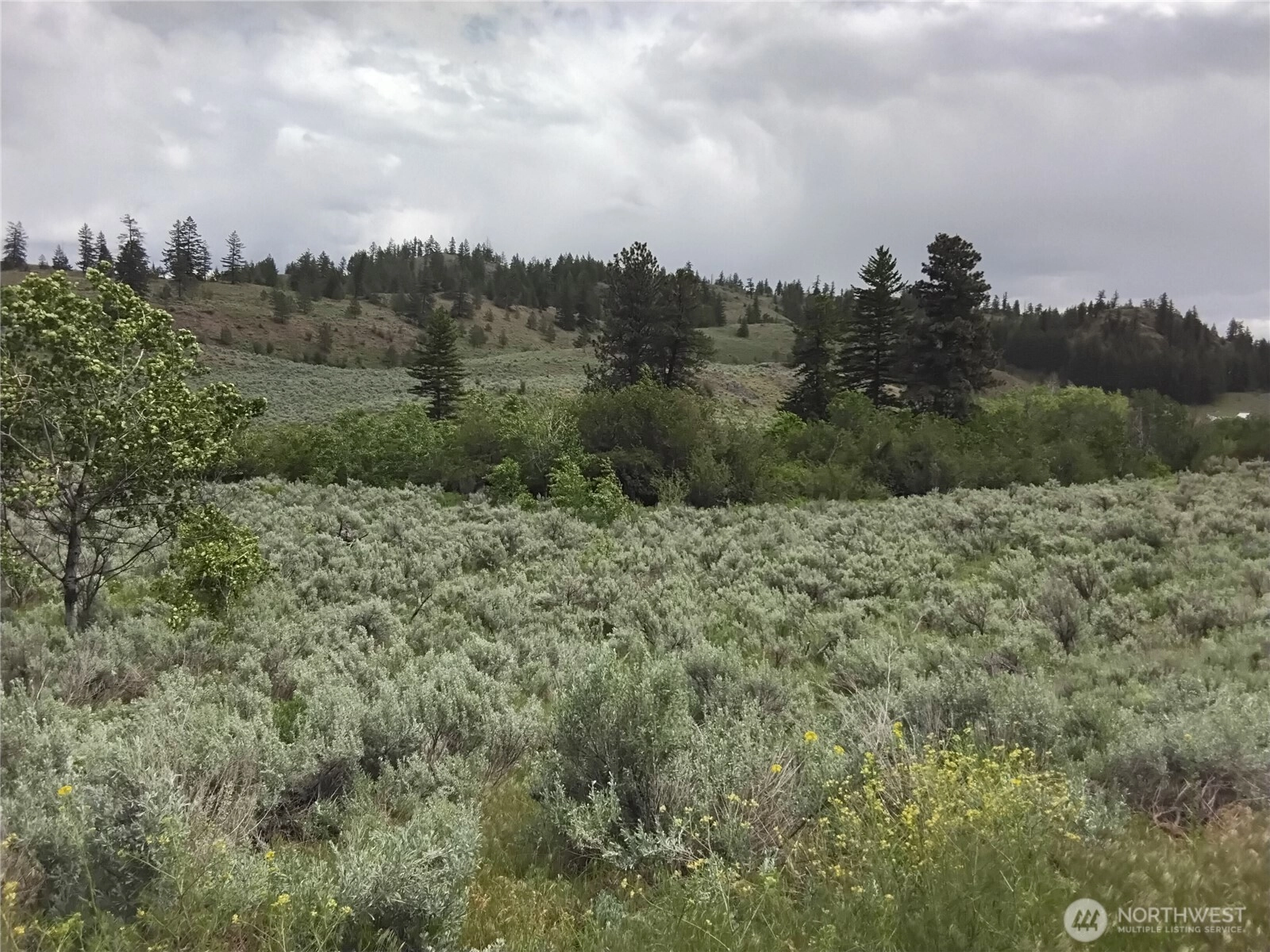 44 Palmer Mountain Rd Unit  Oroville WA 98844