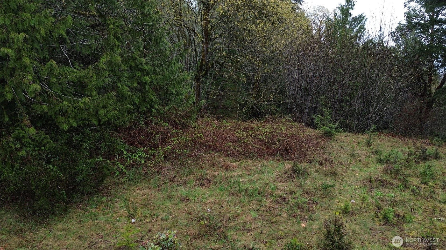 390 N Seagull Way Lilliwaup WA 98555