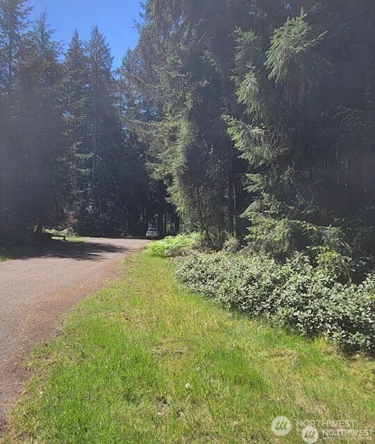 10308 106th Ave Ct Anderson Island WA 98303