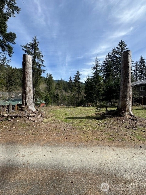 11101 Riverview Dr E Unit  Greenwater WA 98022