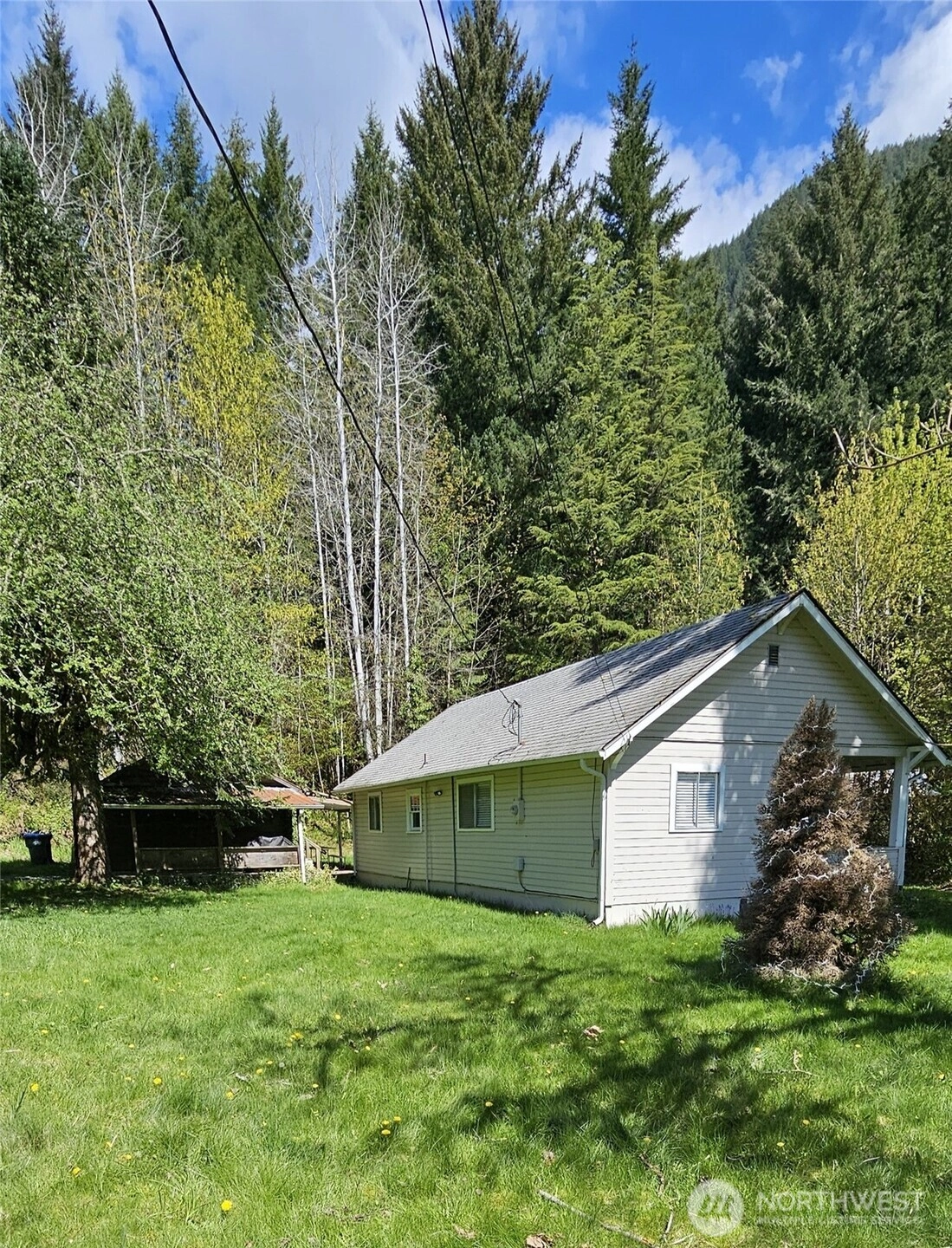 941 Silverbrook Rd Randle WA 98377