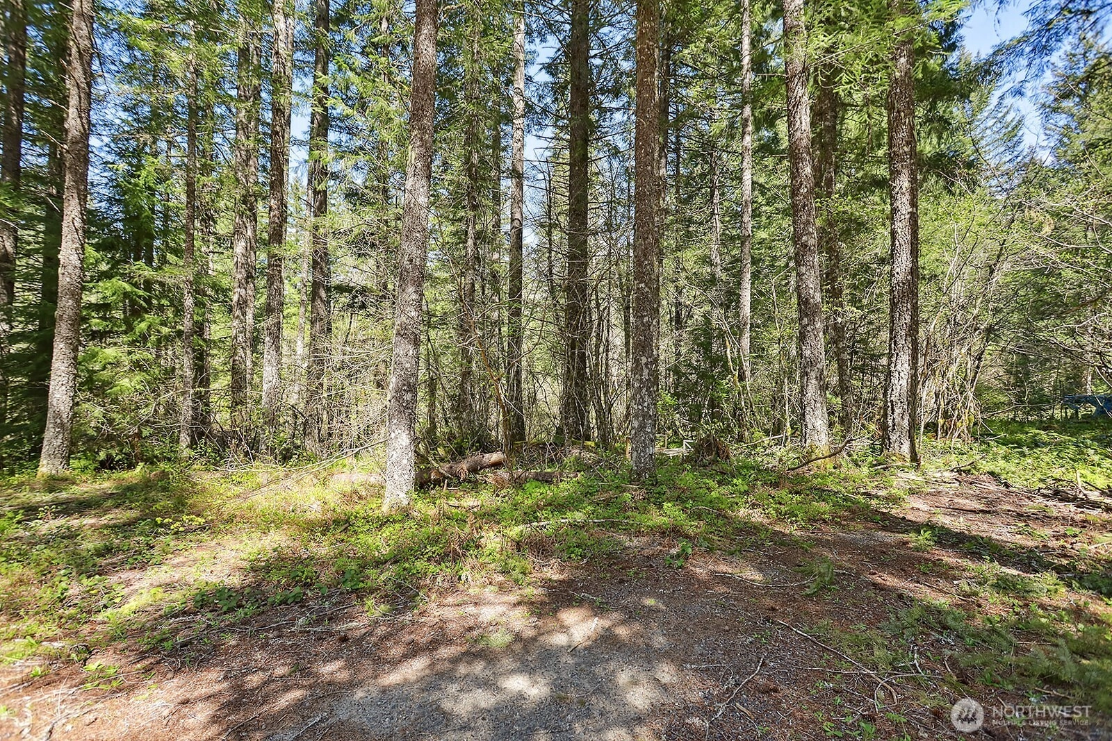 52 Foster Rd Carson WA 98610