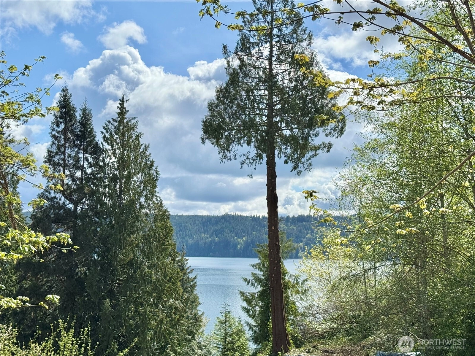 145 N Shar Ln Unit  Lilliwaup WA 98555