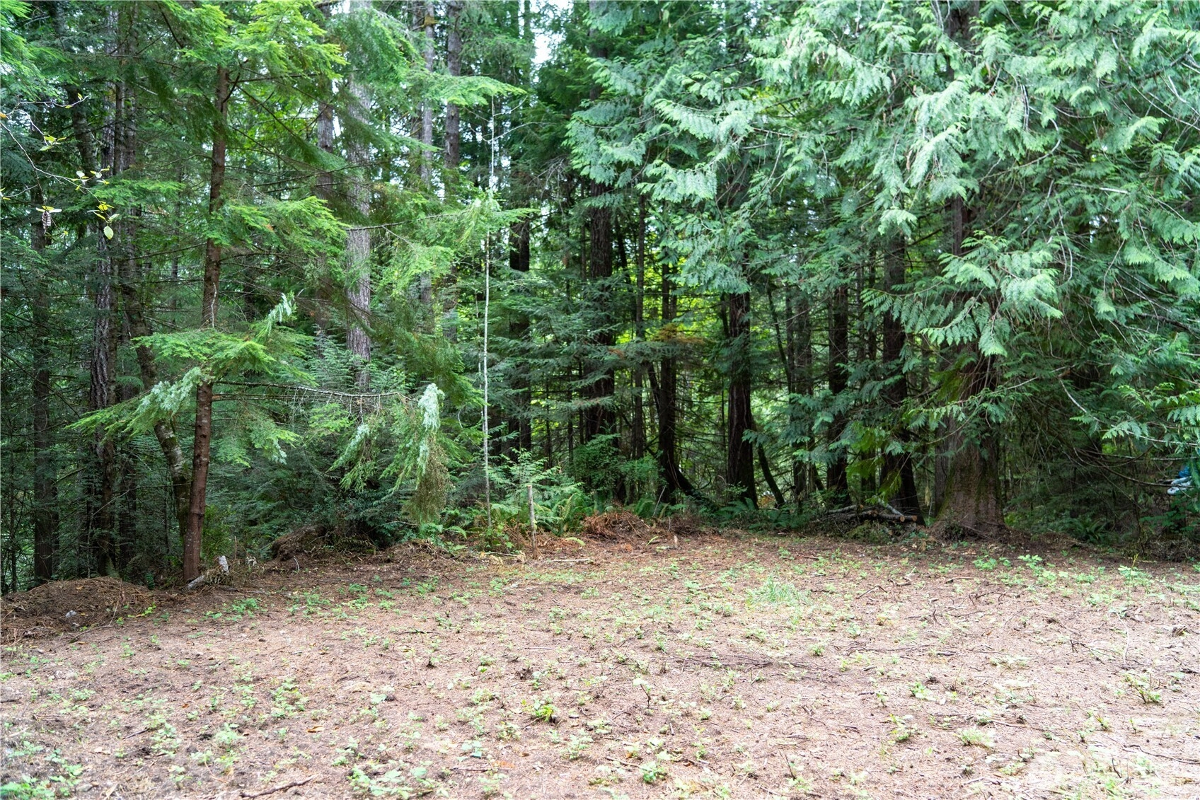 51 N Trail Head Loop Unit  Lilliwaup WA 98555