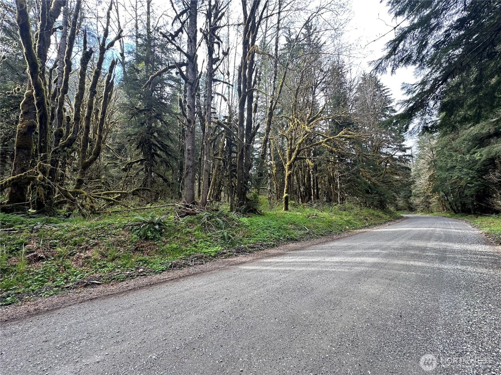 Miller River Rd Skykomish WA 98288