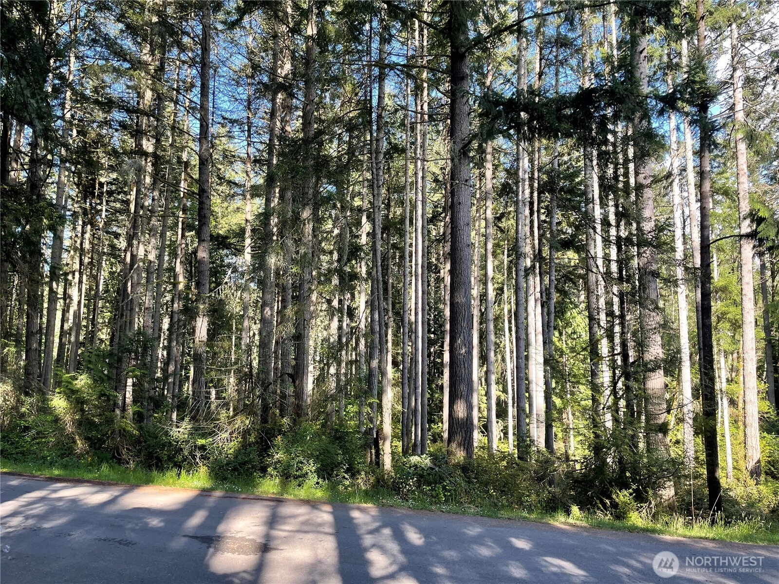 11024 Cascade Pl Anderson Island WA 98303