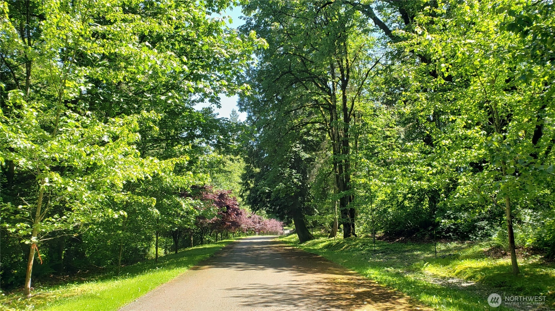 2114 X 212th Ave SE Unit  Maple Valley WA 98038