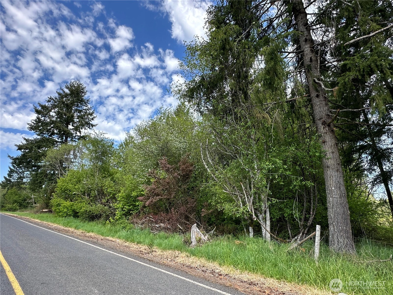 Park Rd Winlock WA 98596