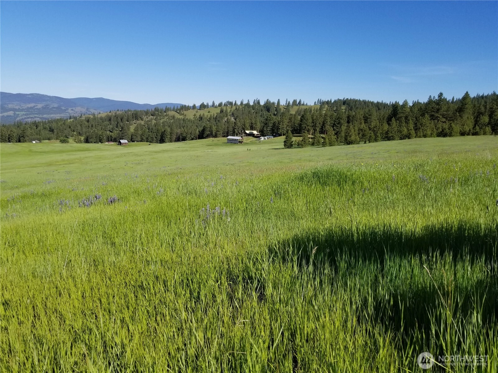 49 Old Ranch House Rd Unit  Republic WA 99166