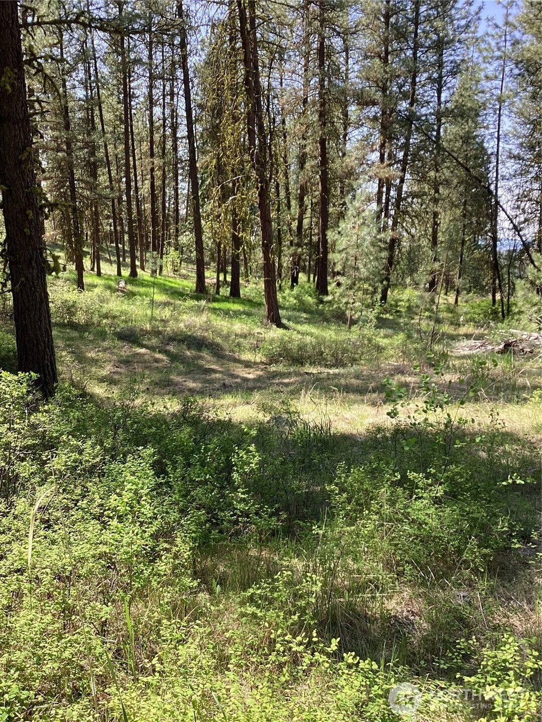 19 Lot Doe Ln Tonasket WA 98855