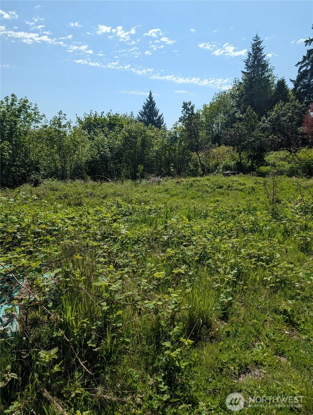 2393 Trail Way Poulsbo WA 98370