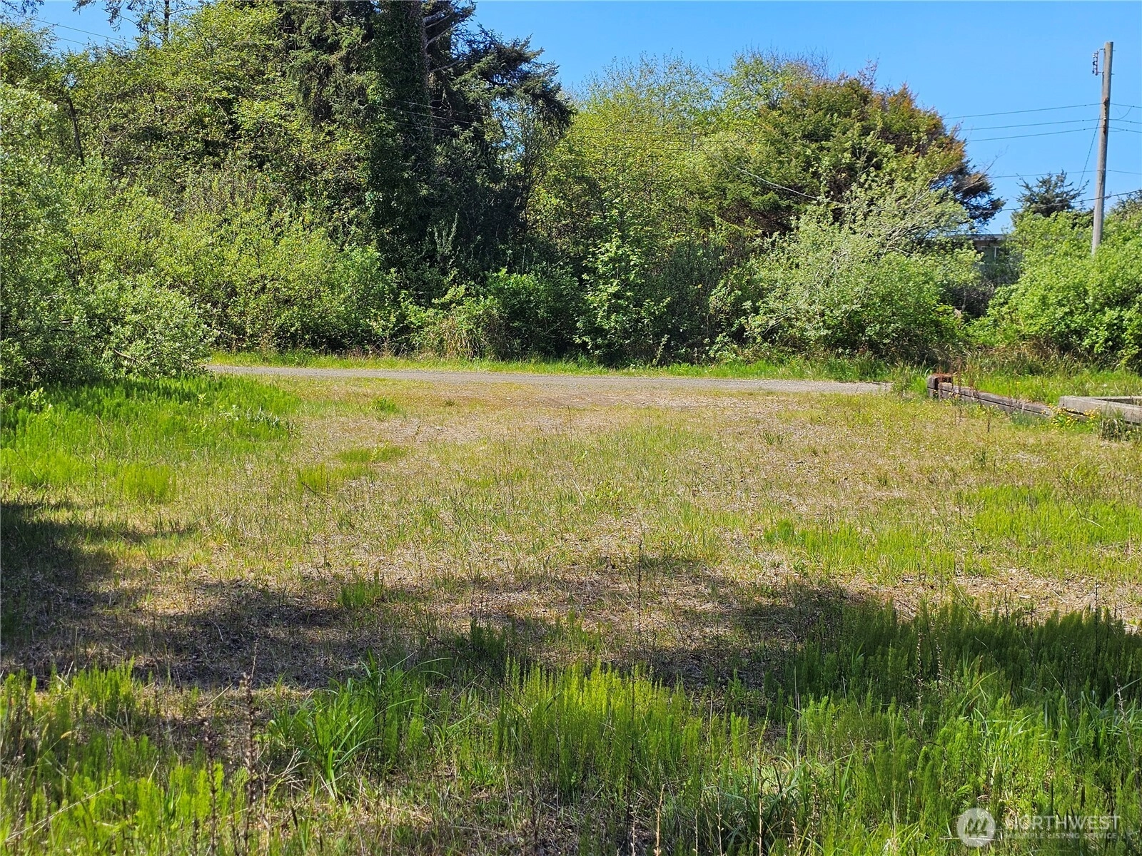 15 Cedar Ln Pacific Beach WA 98571