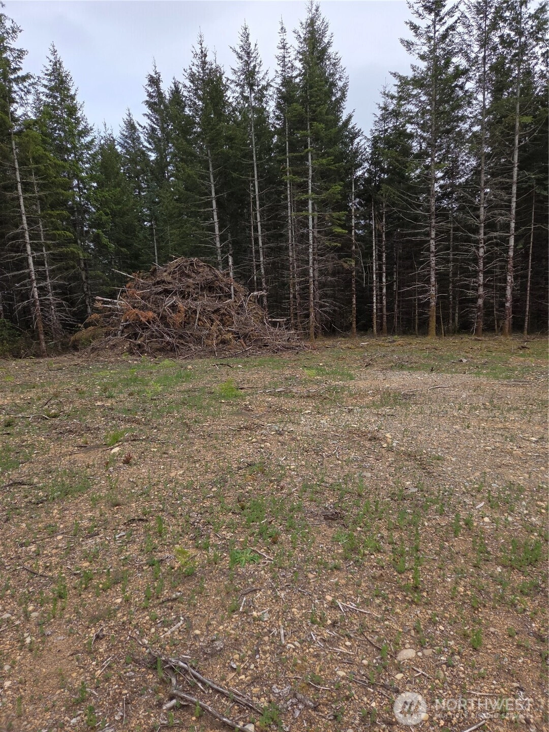 490 E Pinedirosa Rd Unit B Unit B Union WA 98592