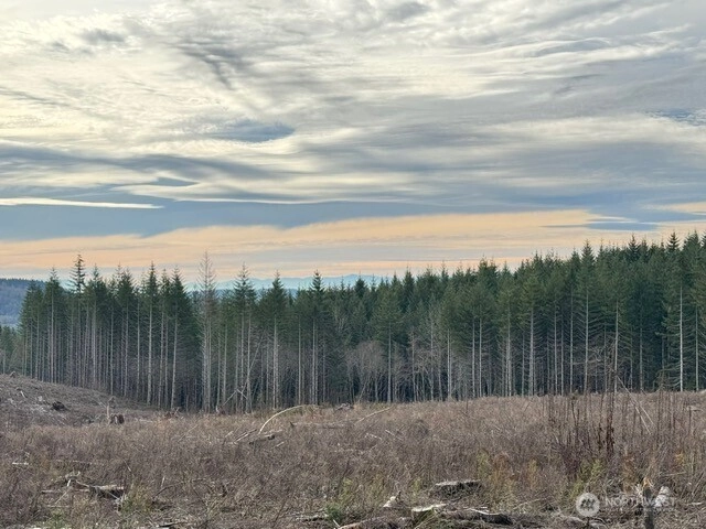 August Rd Onalaska WA 98570