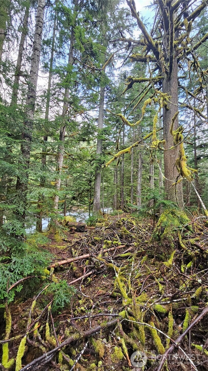 87020 NE 122nd St Skykomish WA 98288