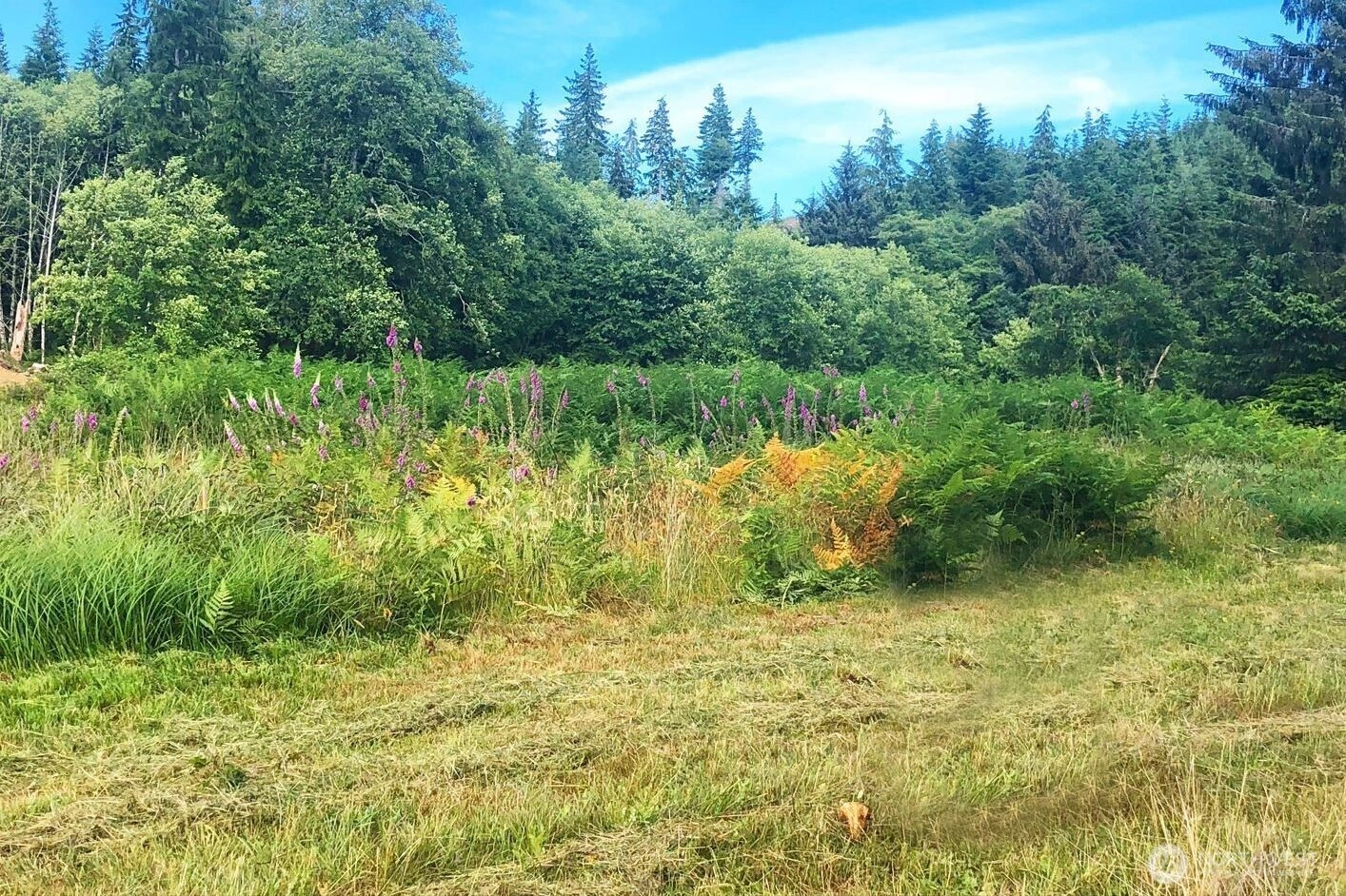 South Valley Rd Unit 5 Unit 5 Naselle WA 98638