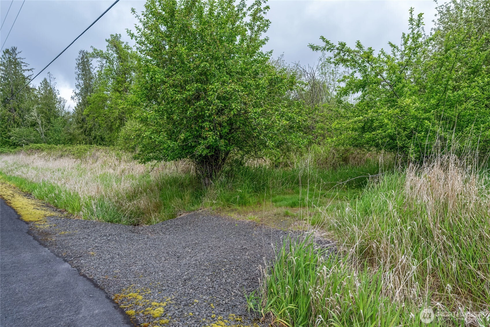 Crabill Rd Unit  Toutle WA 98649