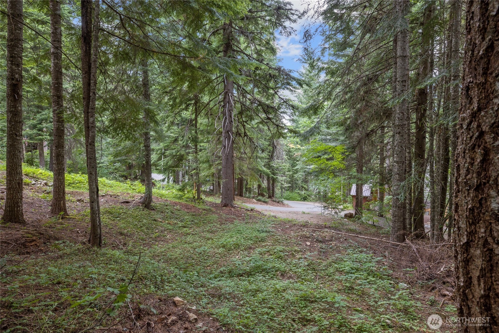 180 Alpine Ln Unit  Easton WA 98925