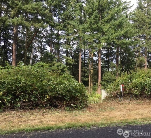 51 Lylus Ln Unit  Port Hadlock WA 98339