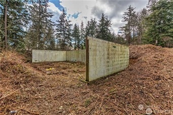 61 Lylus Ln Unit  Port Hadlock WA 98339