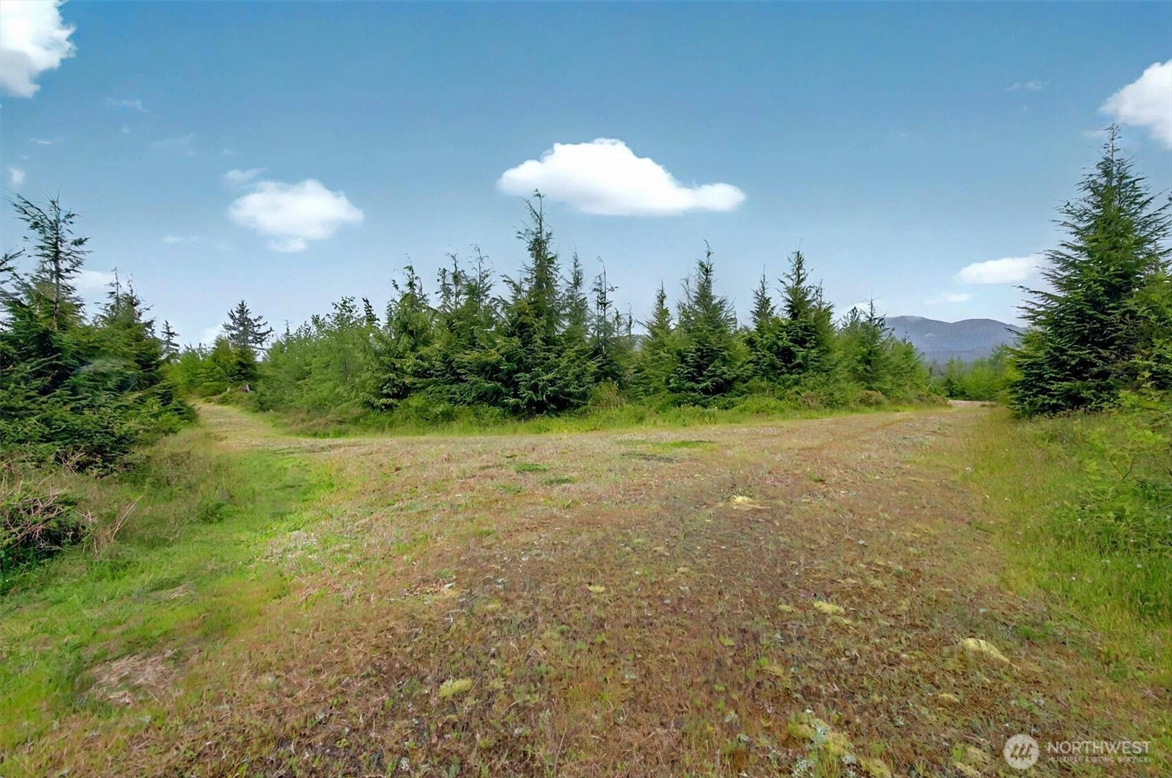 5 Parpala Rd Unit 5 Unit 5 Naselle WA 98638