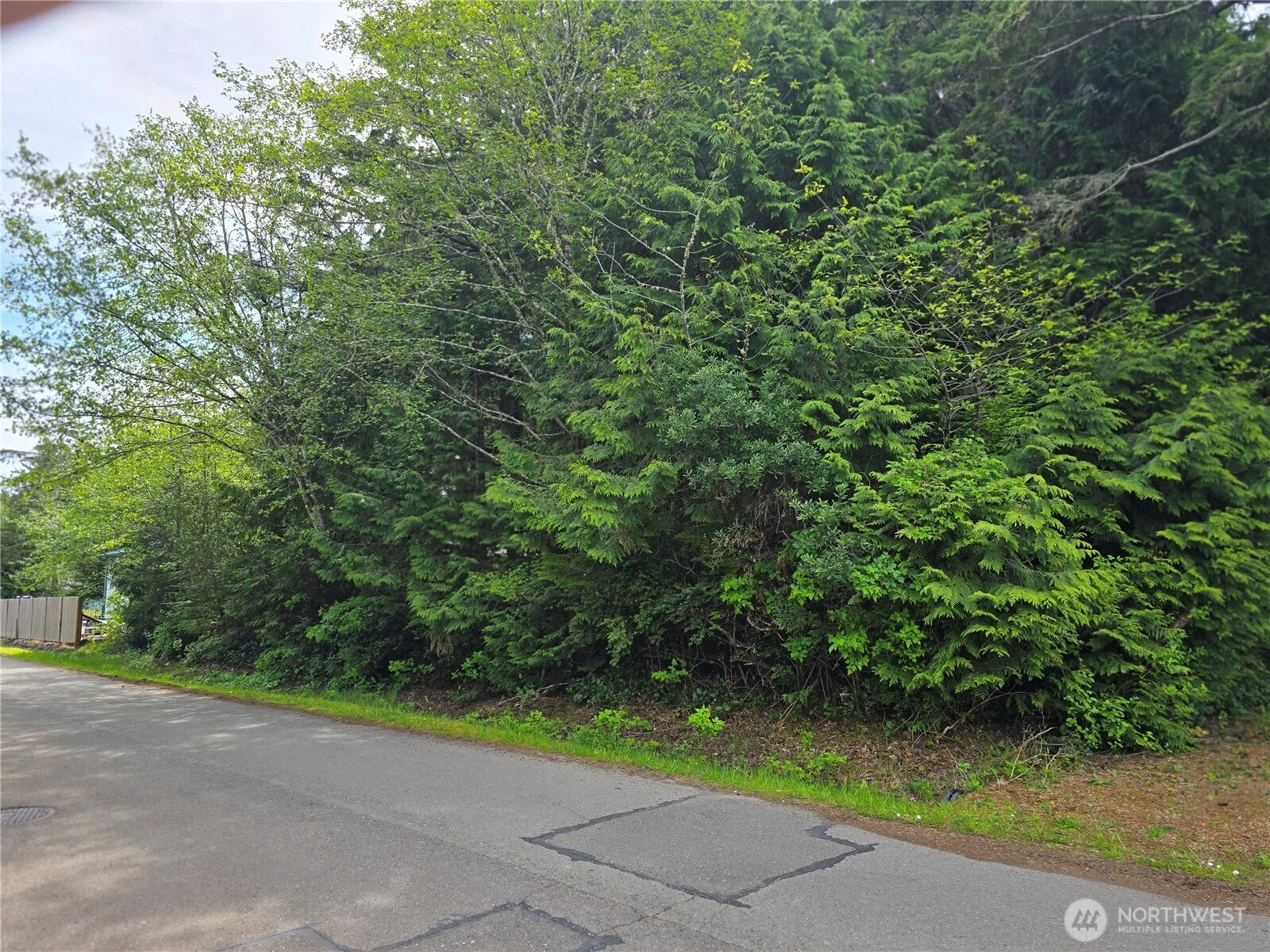 0 xxx Paradise Ln Unit  Pacific Beach WA 98571