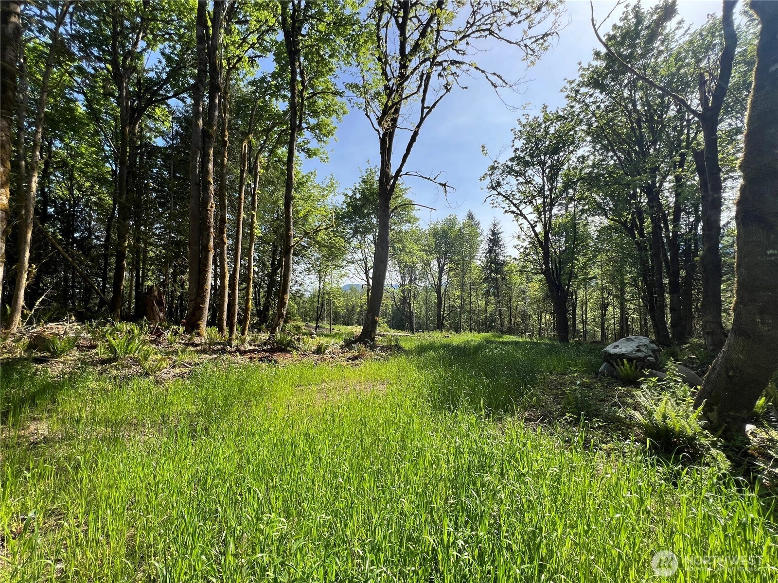 3 XXX Leland Valley Rd W Quilcene WA 98376