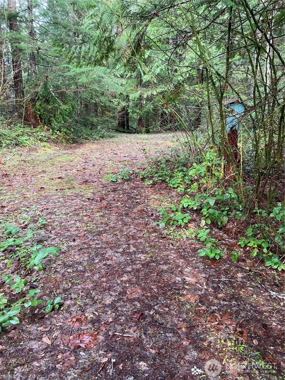 231 N Goldeneye Dr Unit  Hoodsport WA 98548