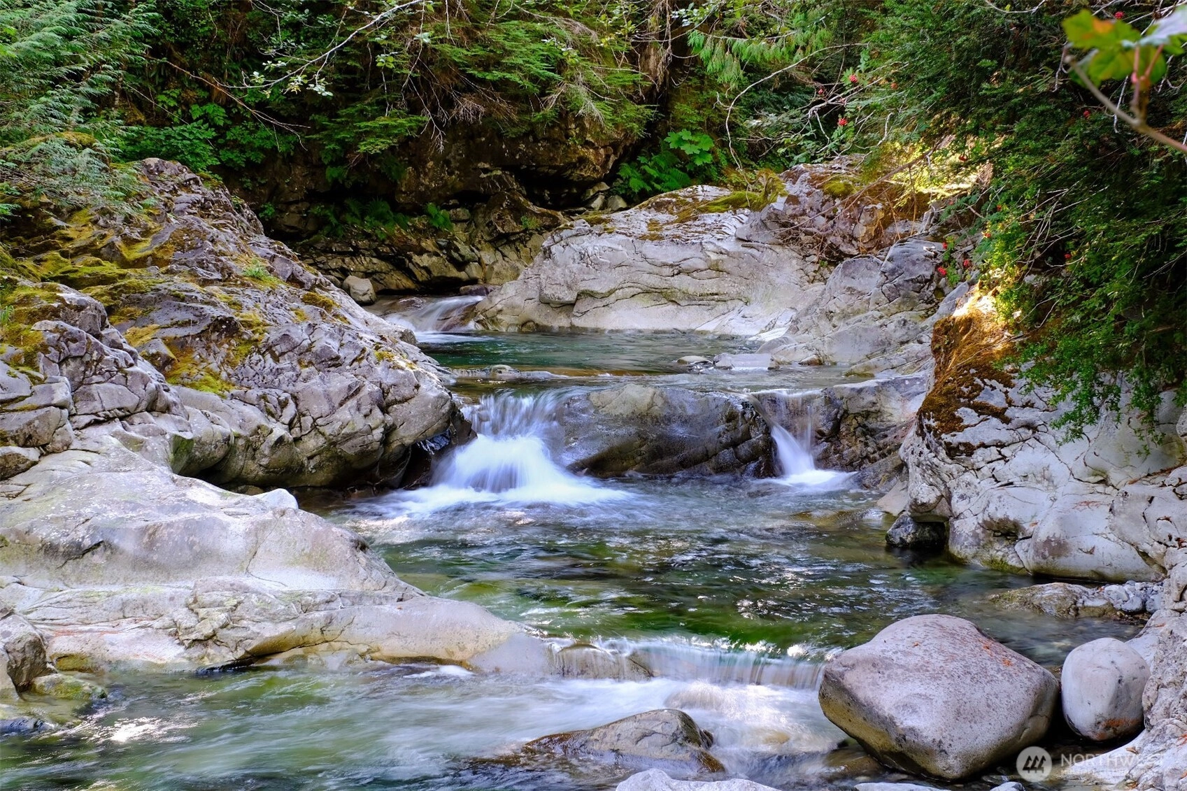 Money Creek Rd Skykomish WA 98288