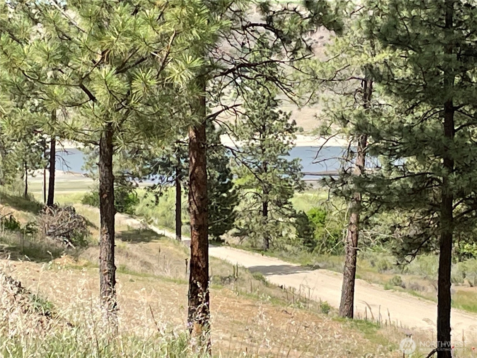 36025 Mill Canyon Road N Unit  Davenport WA 99122