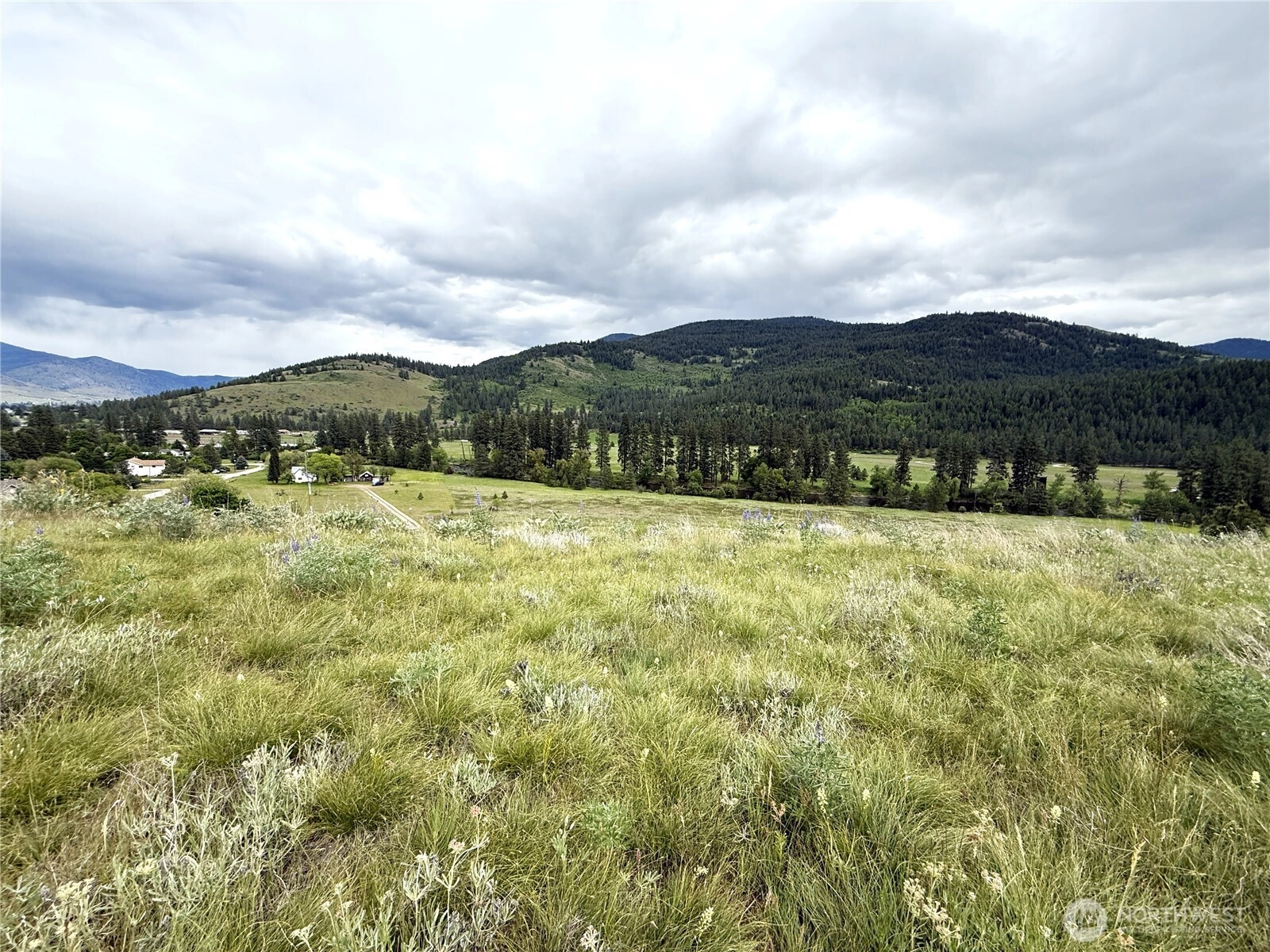 19109 Highway 21 N Unit  Danville WA 99121